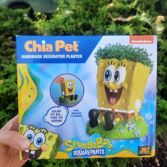 Nickelodeon SpongeBob SquarePants Chia Pet Decorative Planter New Open Box - Picture 2 of 4